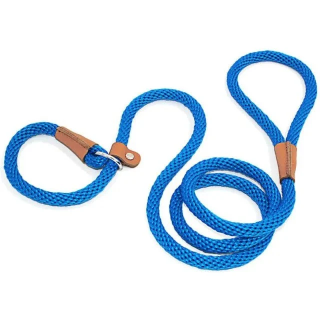 Laisse pour chien lasso