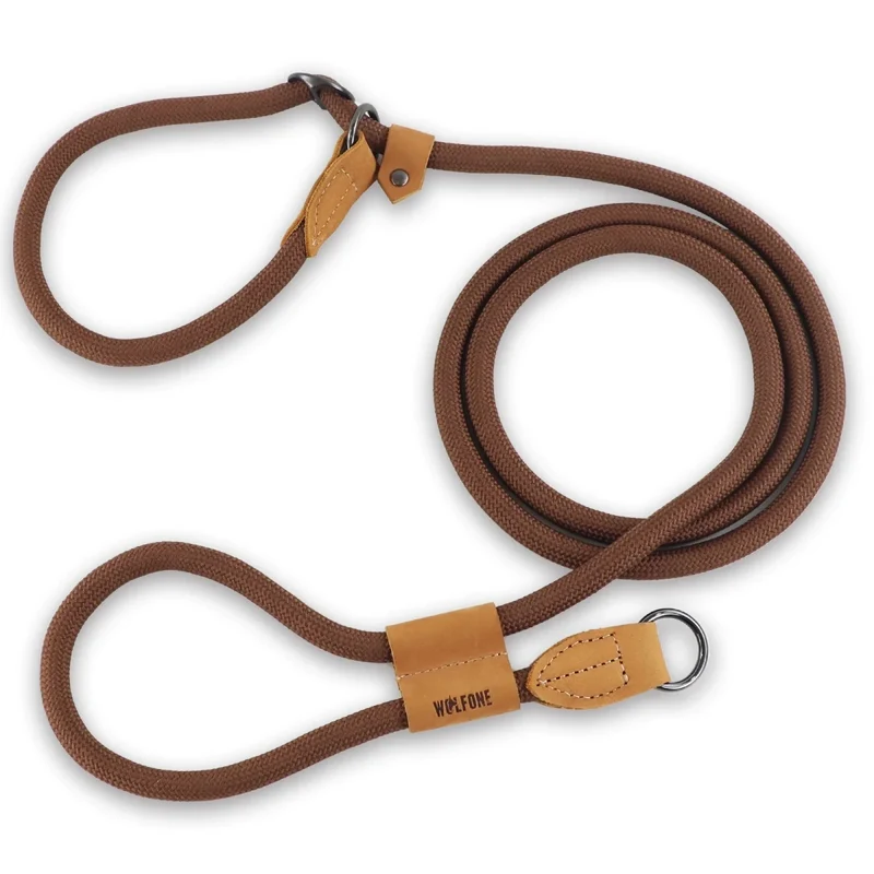 Laisse canine lasso