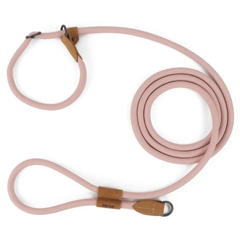 Laisse canine lasso