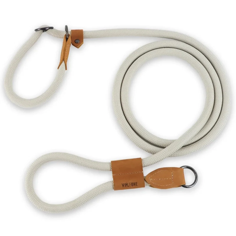 Laisse canine lasso