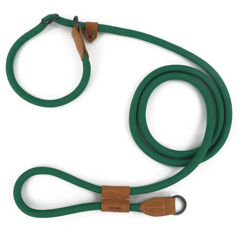 Laisse canine lasso