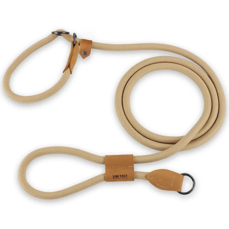 Laisse canine lasso