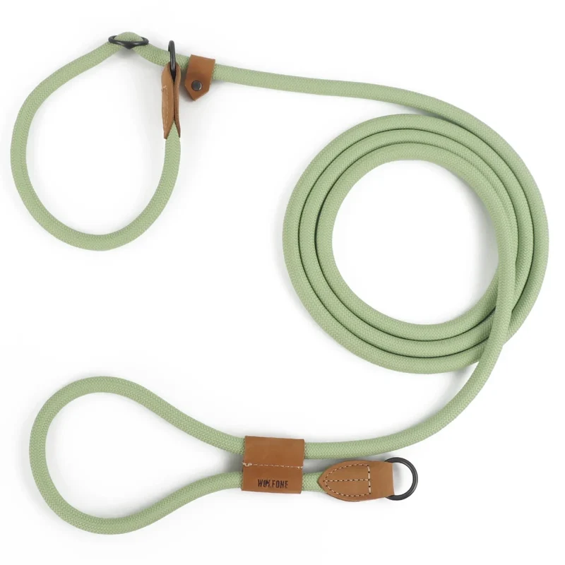 Laisse canine lasso