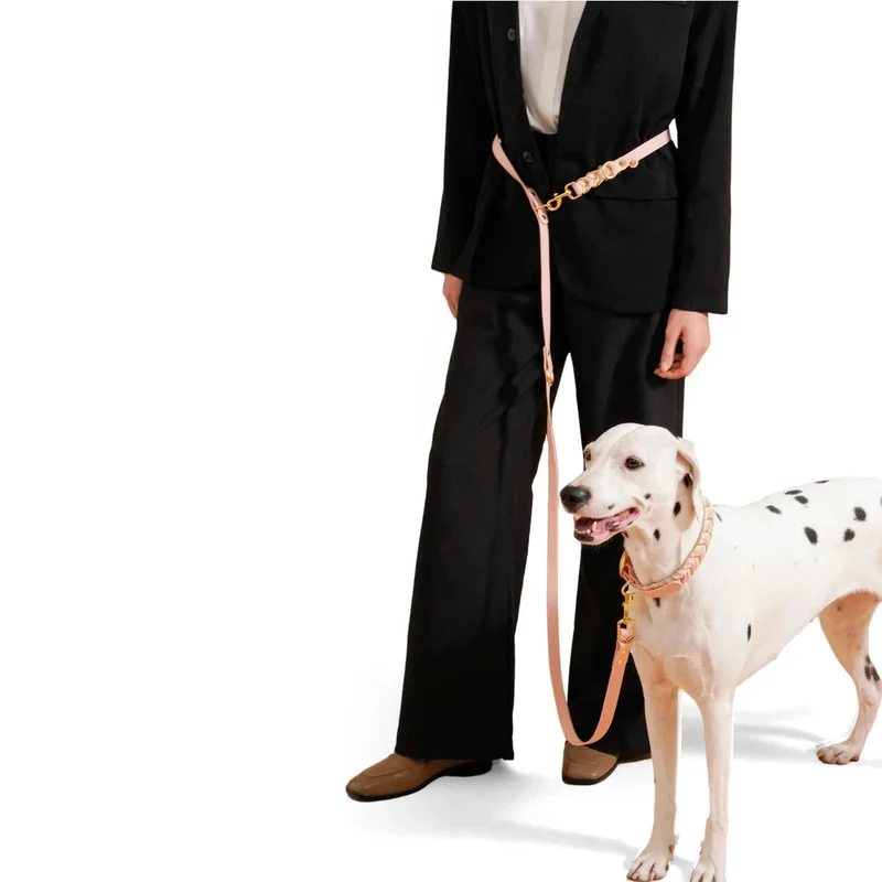 Laisse lasso de luxe