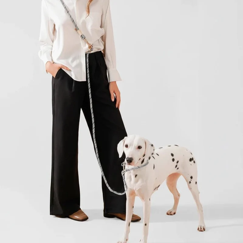 Laisse lasso design pour chien