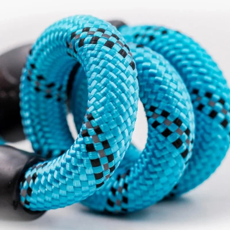 Collier lasso chien