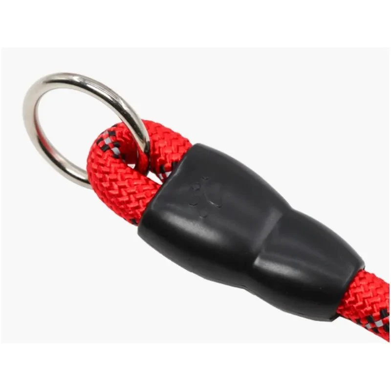 Collier lasso chien