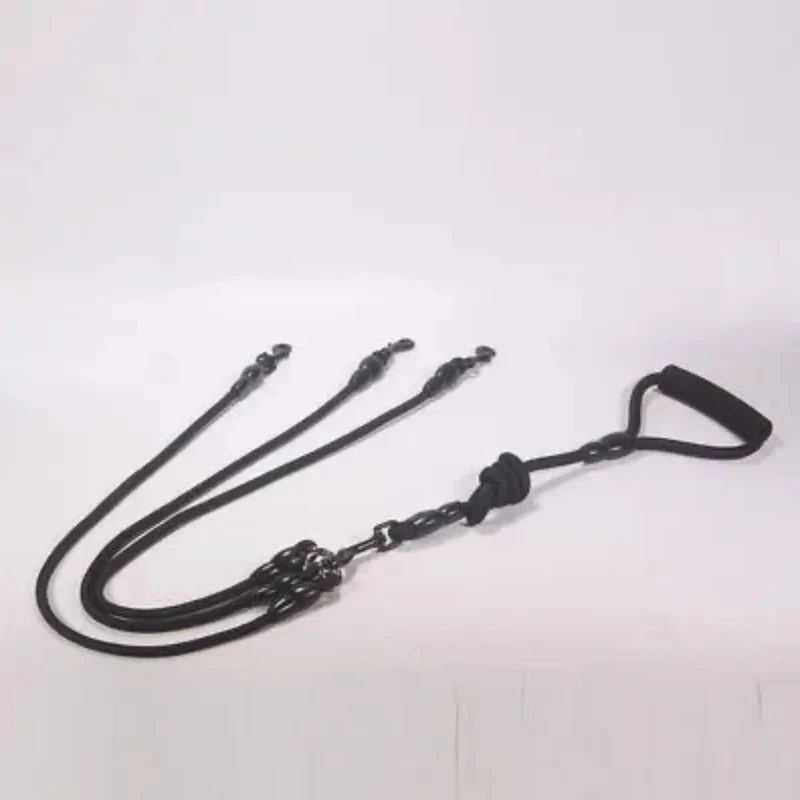 Laisse multiple pour chien