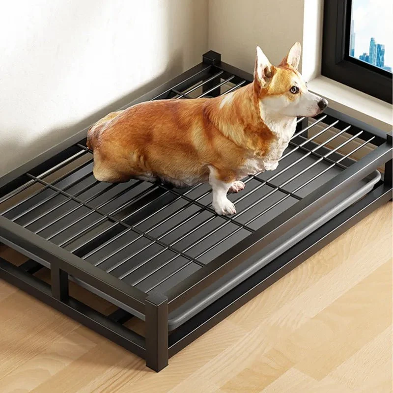 Tapis toilette pour chiot
