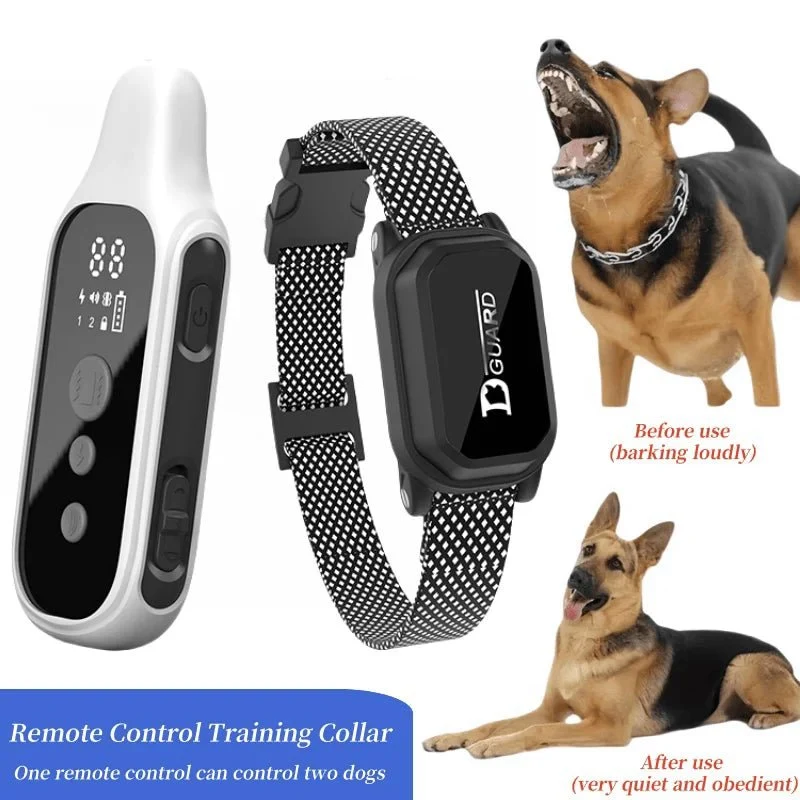 Collier de dressage numérique pour chien