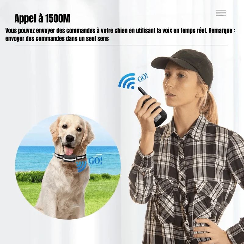 Collier d'entraînement anti-aboiement pour chien