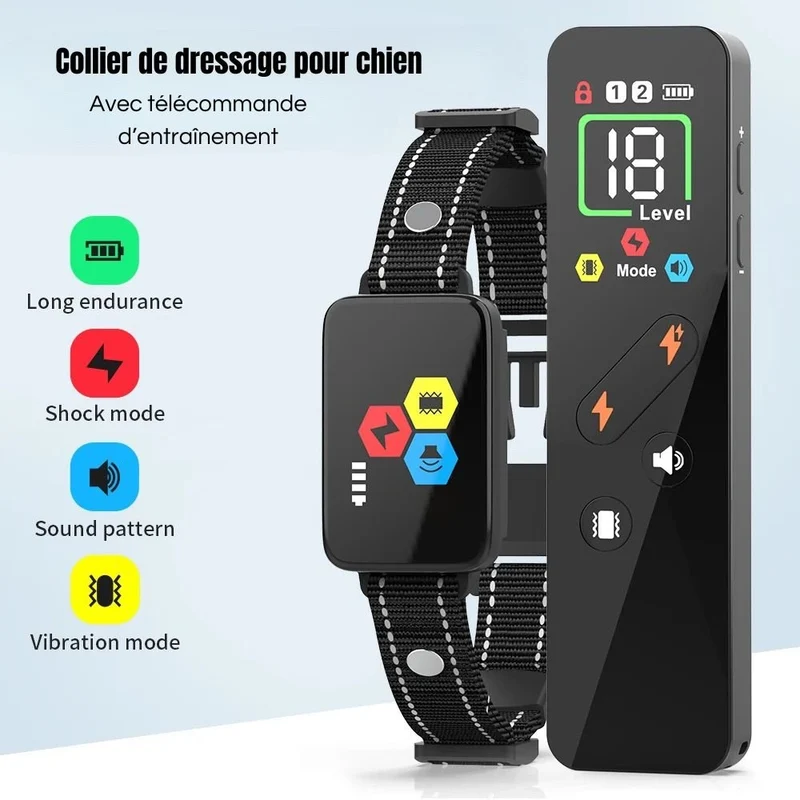 Collier d'entraînement pour chien