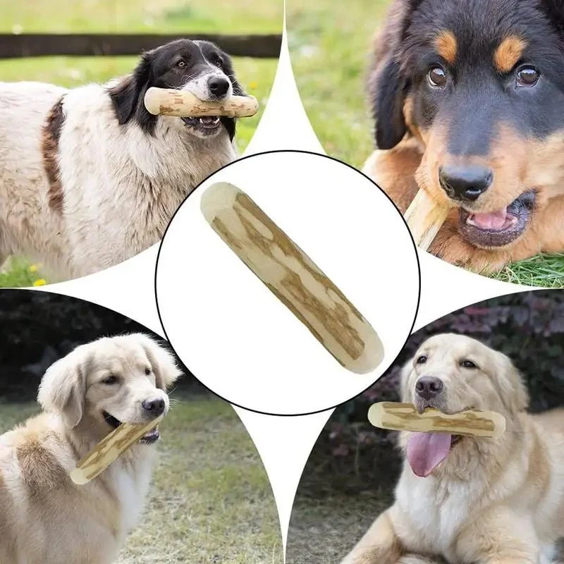 Faux bâton pour chiot