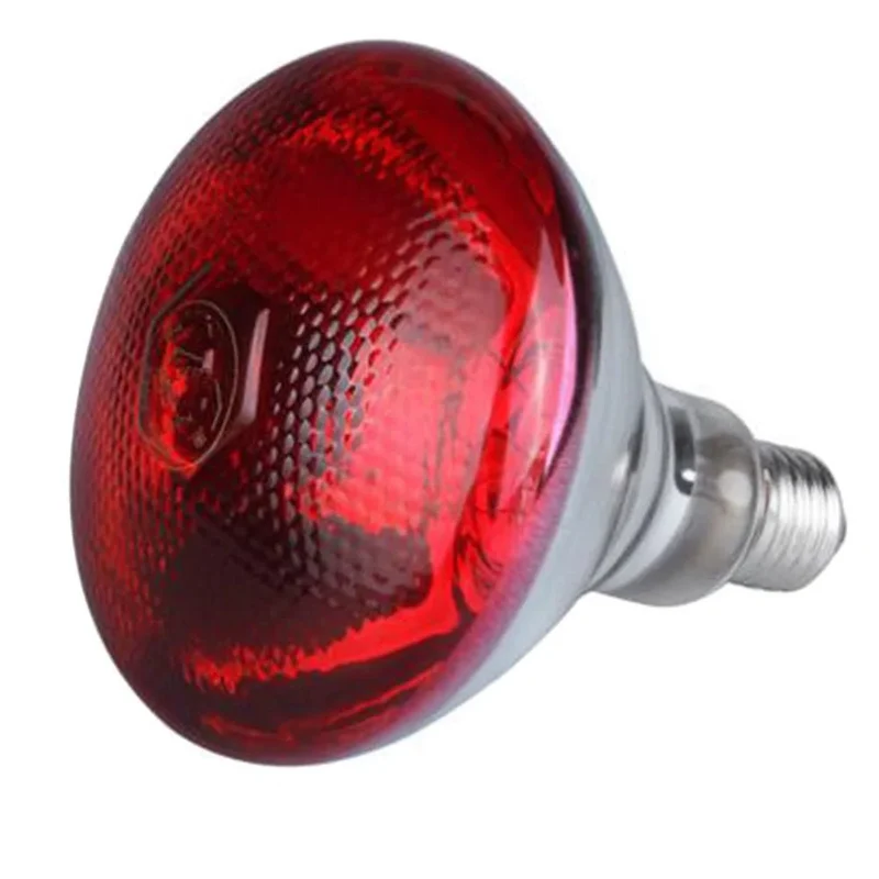 Lampe rouge chauffante pour chiot