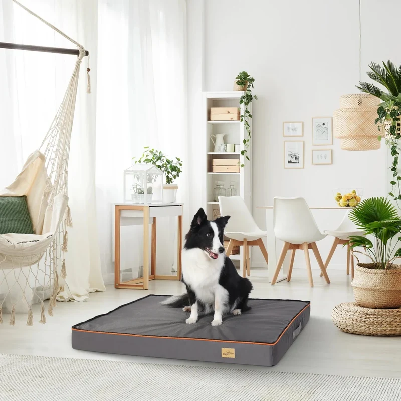 Tapis orthopédique multi- saison pour chien