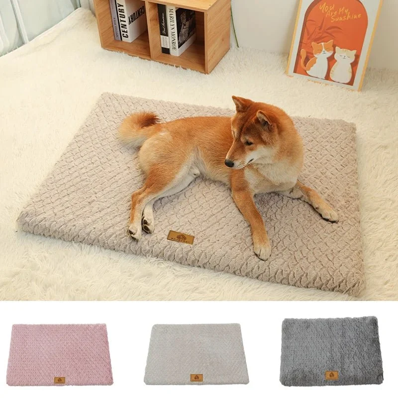 Tapis confortable et lavable pour chien