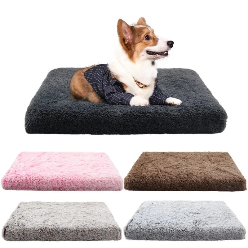 Tapis déhoussable pour chien