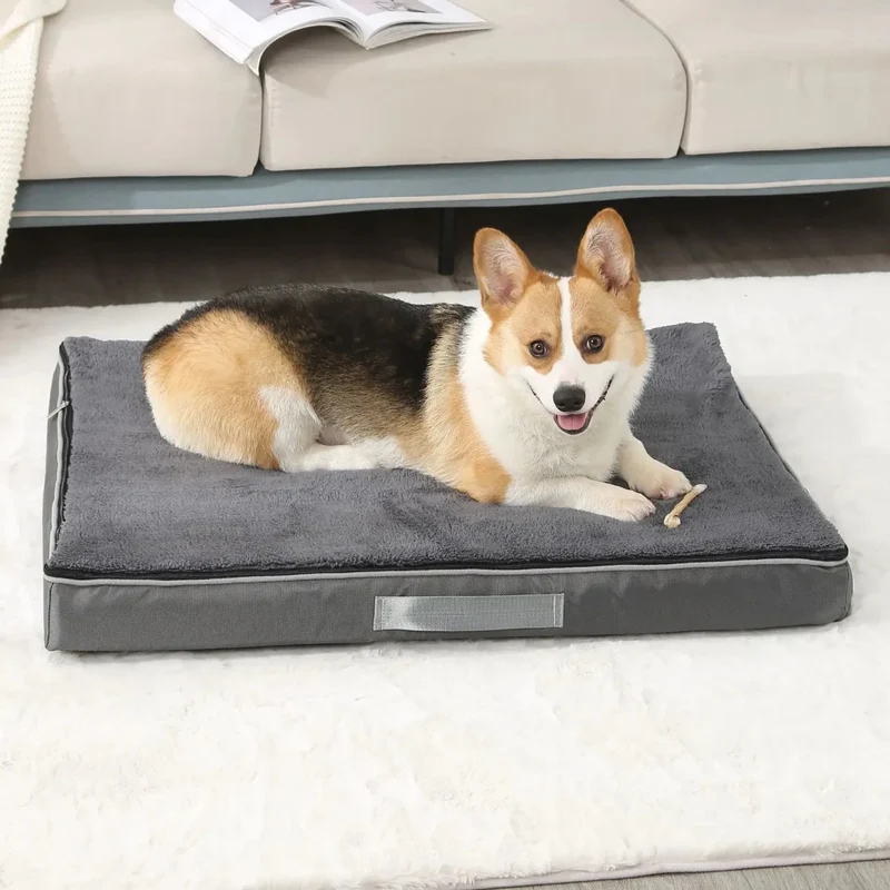 Tapis pour chien toutes saisons et indestructible