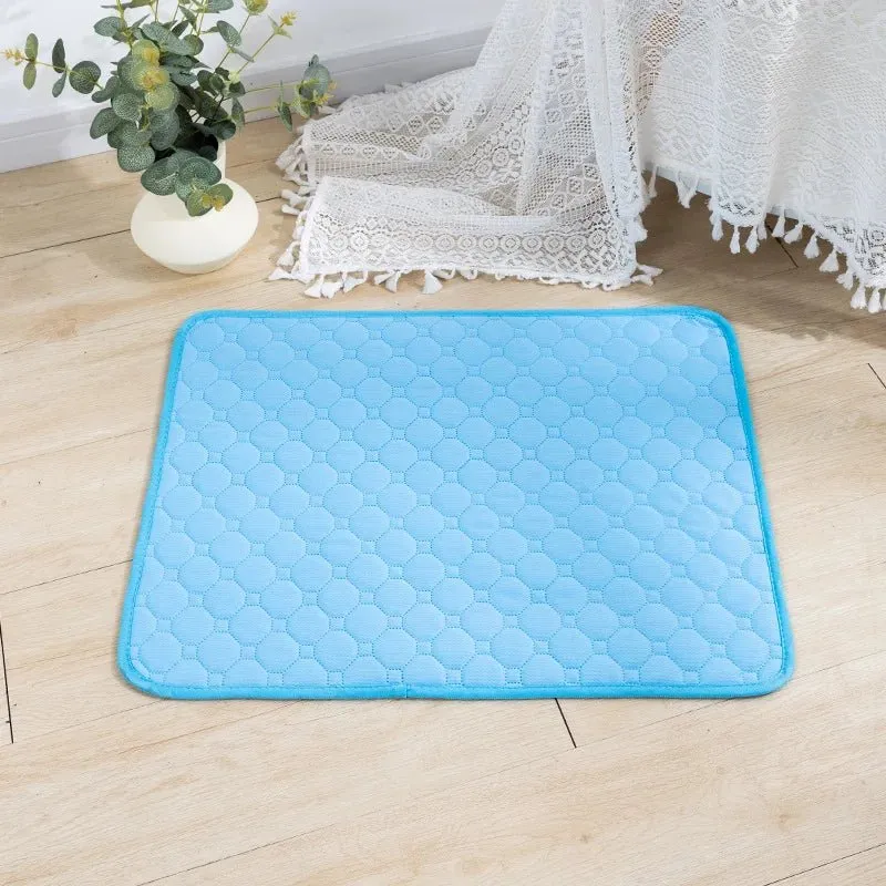 Tapis absorbant et réutilisable pour animaux