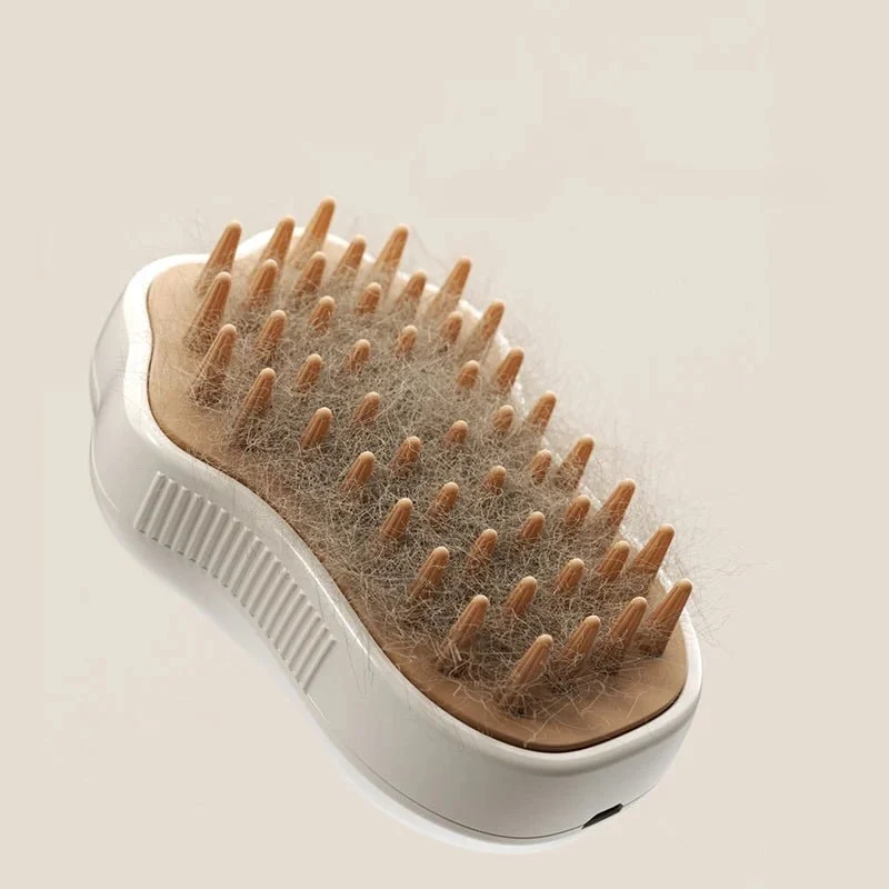 Brosse à vapeur en forme de patte