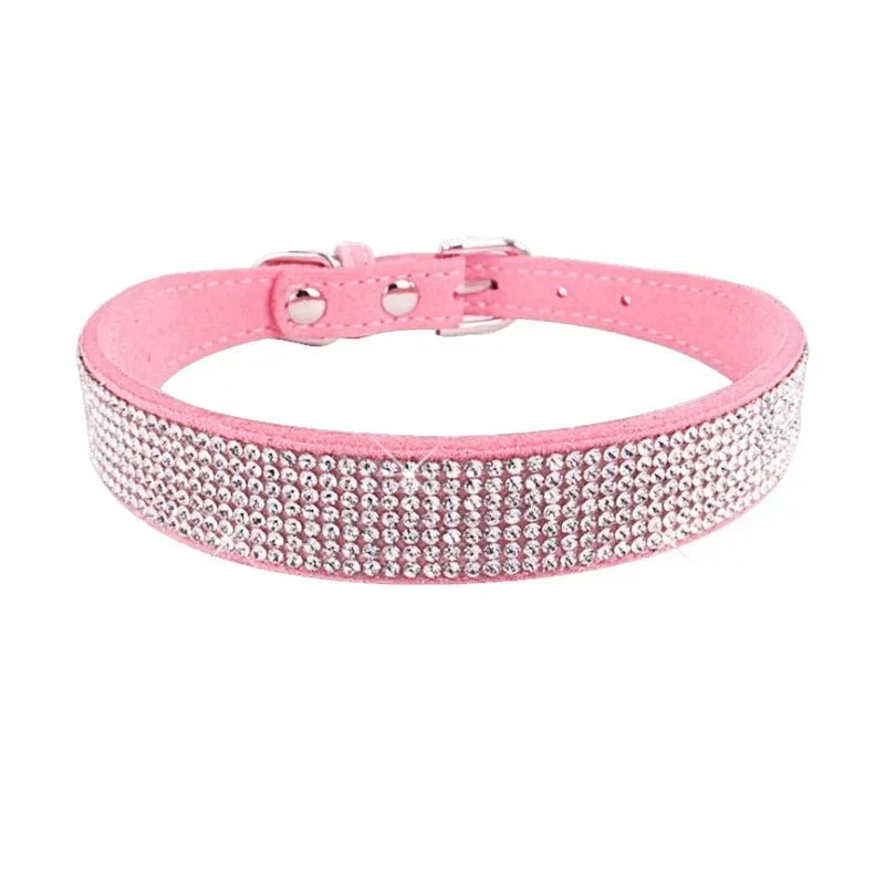 Collier chiot 2 mois