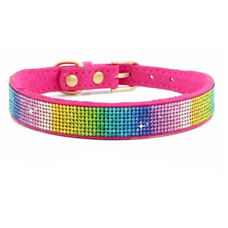 Collier chiot 2 mois