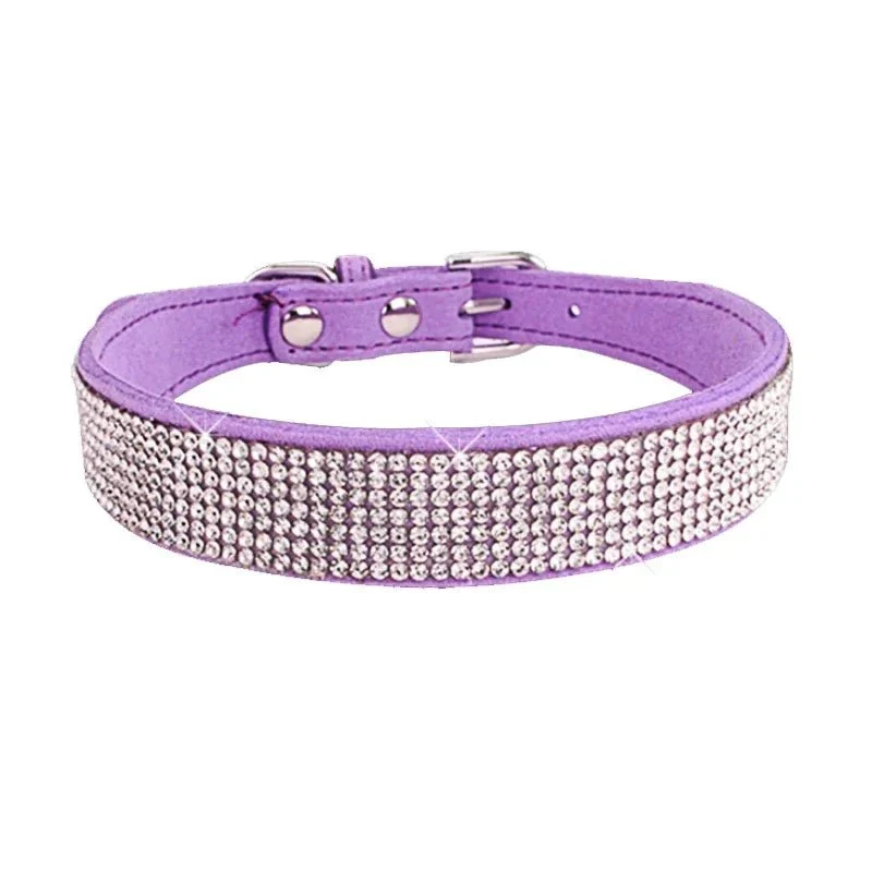 Collier chiot 2 mois