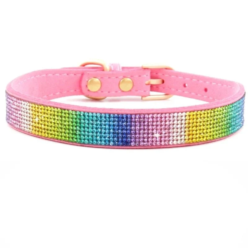 Collier chiot 2 mois