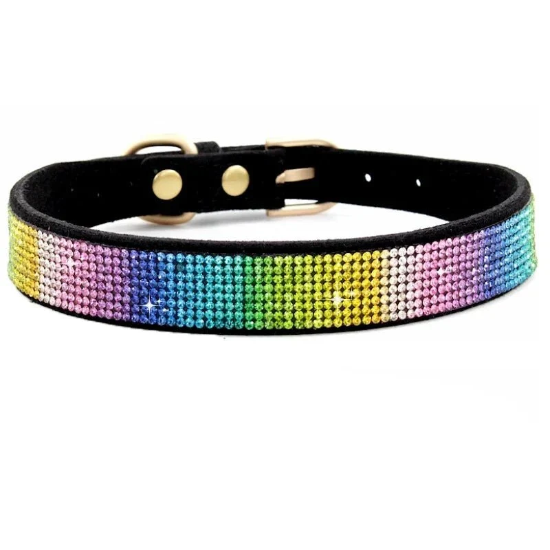 Collier chiot 2 mois