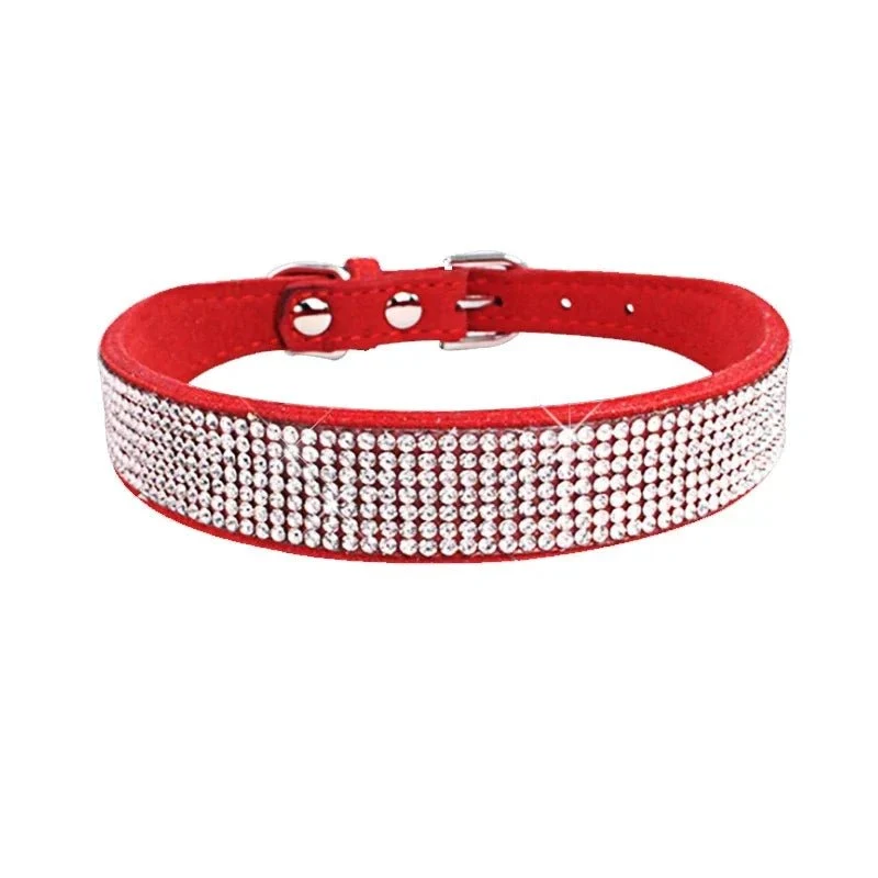 Collier chiot 2 mois