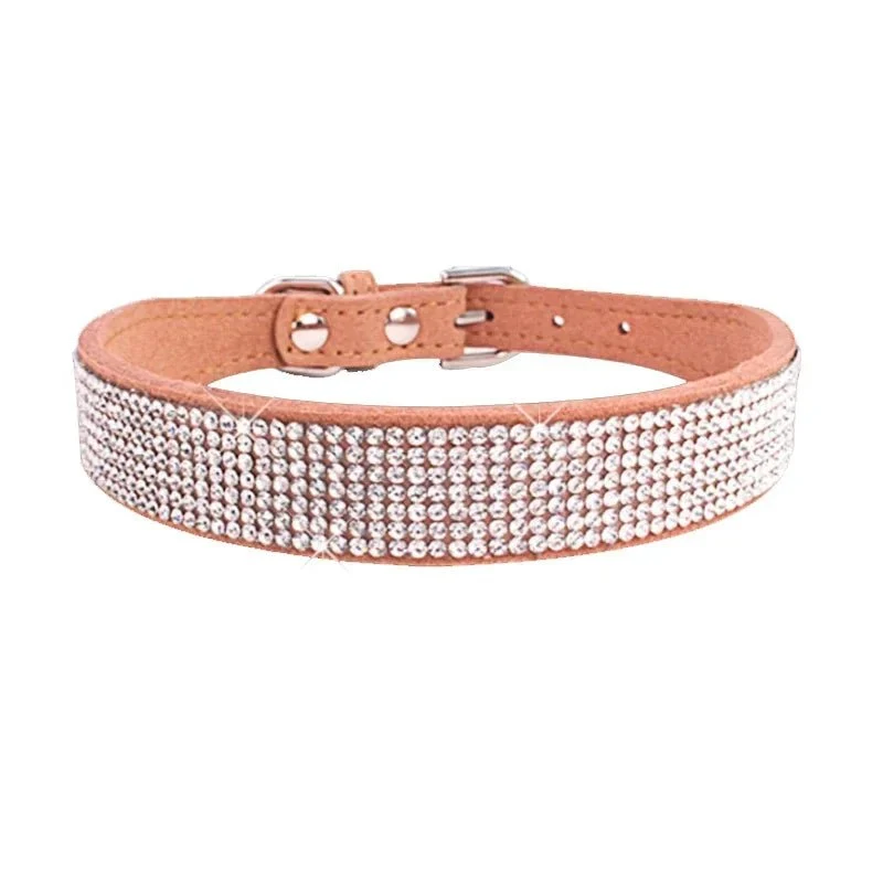 Collier chiot 2 mois