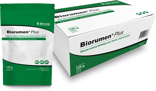 BIORUMEN PLUS BTE 10 SACHETS X 125G